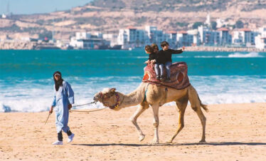 ride camel in agadir